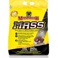 mammoth mass chocolate protein powder