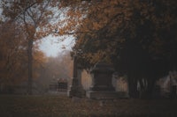 a cemetery with trees and tombstones on a foggy day