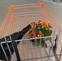 an orange shopping cart with a flower in it