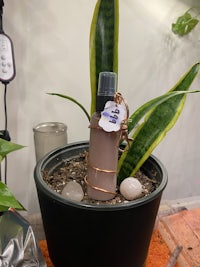 a plant in a pot with a bottle on it