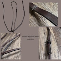 a series of pictures of a halter and a bridle