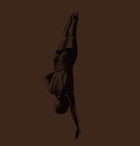 a silhouette of a person doing a flip on a brown background