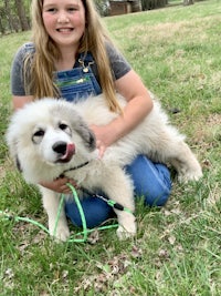 a girl holding a white dog in the grass