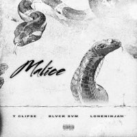 the cover of miilee's album, featuring a snake and two snakes
